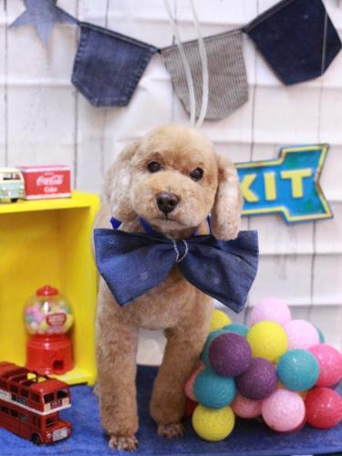 20230418アルトくん